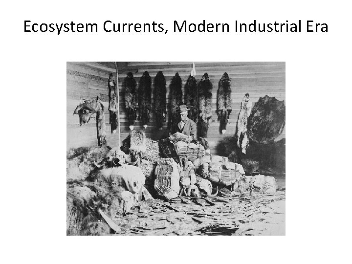 Ecosystem Currents, Modern Industrial Era 