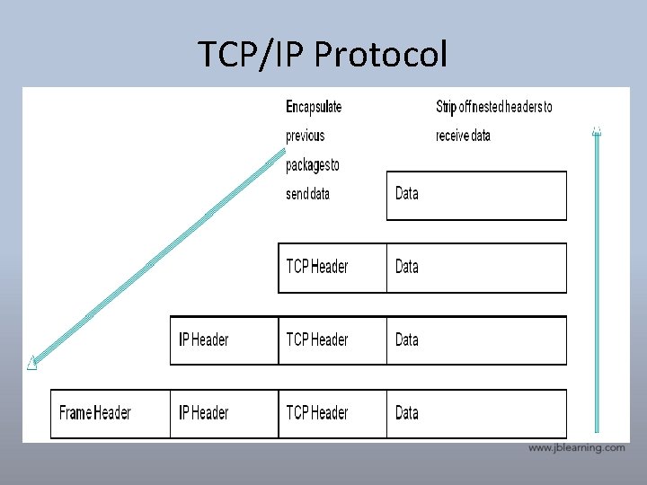 TCP/IP Protocol 