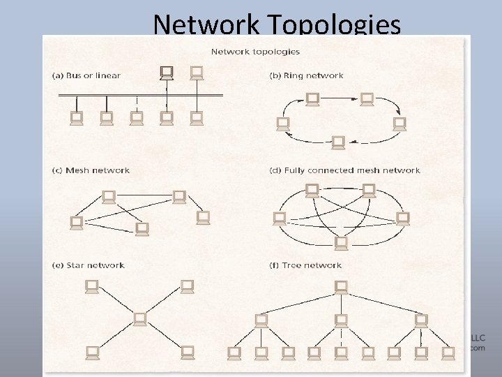 Network Topologies 