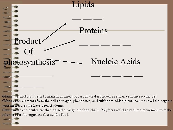 Lipids __ __ __ Product Of photosynthesis ______ __ Proteins __ __ __ Nucleic