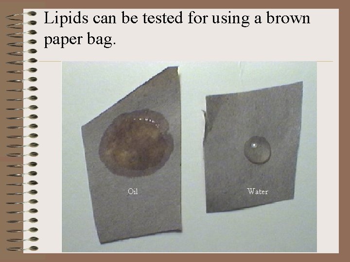 Lipids can be tested for using a brown paper bag. 