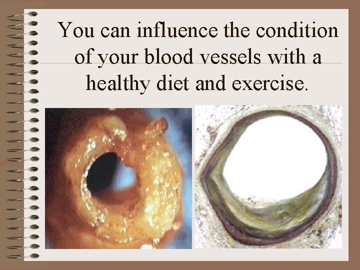 You can influence the condition of your blood vessels with a healthy diet and