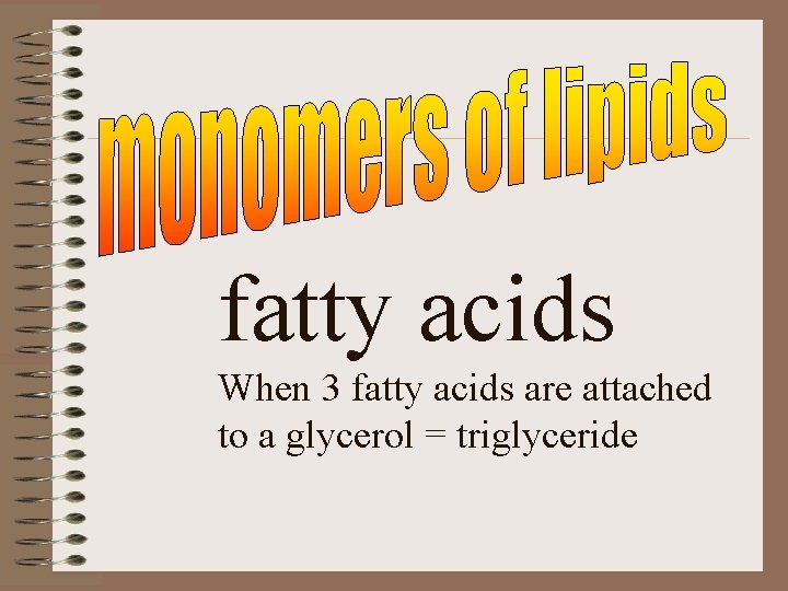 fatty acids When 3 fatty acids are attached to a glycerol = triglyceride 