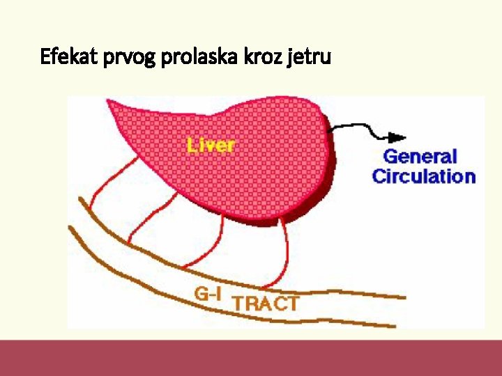 Efekat prvog prolaska kroz jetru 
