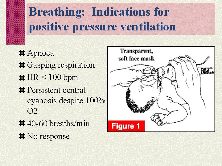 Breathing: Indications for positive pressure ventilation Apnoea Gasping respiration HR < 100 bpm Persistent