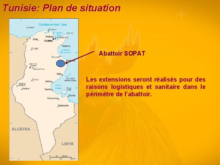 Tunisie: Plan de situation Abattoir SOPAT Les extensions seront réalisés pour des raisons logistiques