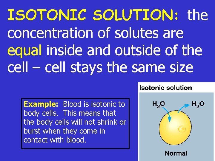 ISOTONIC SOLUTION: the concentration of solutes are equal inside and outside of the cell