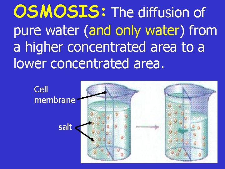 OSMOSIS: The diffusion of pure water (and only water) from a higher concentrated area
