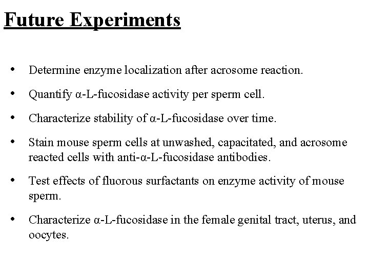 Future Experiments • Determine enzyme localization after acrosome reaction. • Quantify α-L-fucosidase activity per