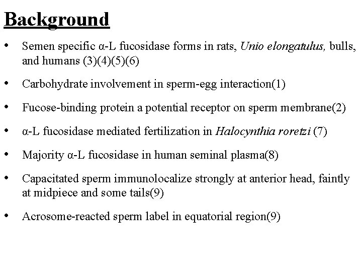 Background • Semen specific α-L fucosidase forms in rats, Unio elongatulus, bulls, and humans