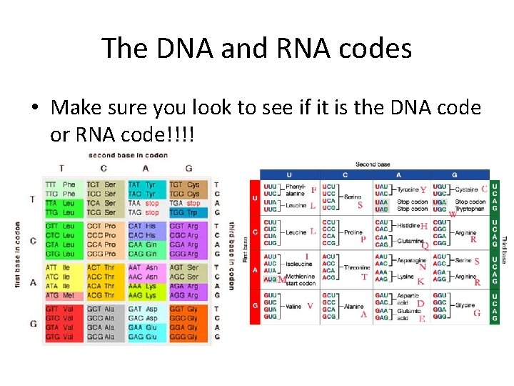 The DNA and RNA codes • Make sure you look to see if it