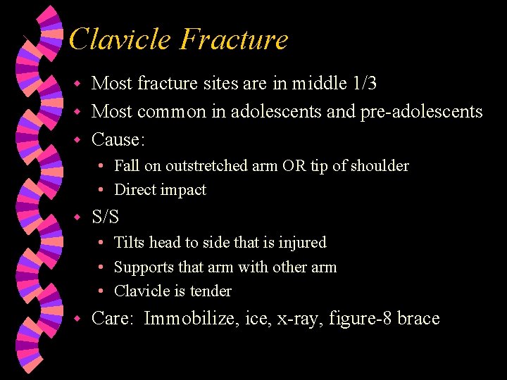 Clavicle Fracture Most fracture sites are in middle 1/3 w Most common in adolescents