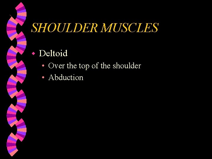 SHOULDER MUSCLES w Deltoid • Over the top of the shoulder • Abduction 