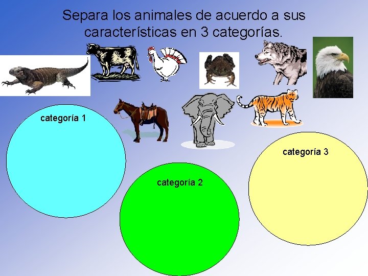 Separa los animales de acuerdo a sus características en 3 categorías. categoría 1 categoría