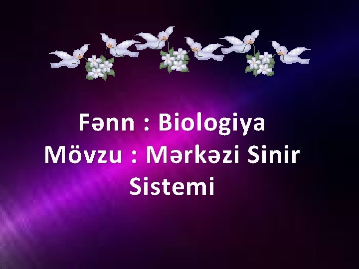 Fənn : Biologiya Mövzu : Mərkəzi Sinir Sistemi 