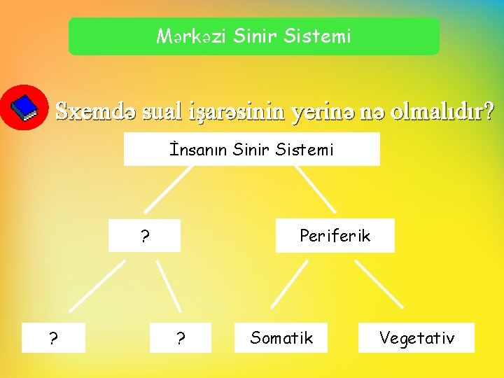 Mərkəzi Sinir Sistemi Sxemdə sual işarəsinin yerinə nə olmalıdır? İnsanın Sinir Sistemi ? ?