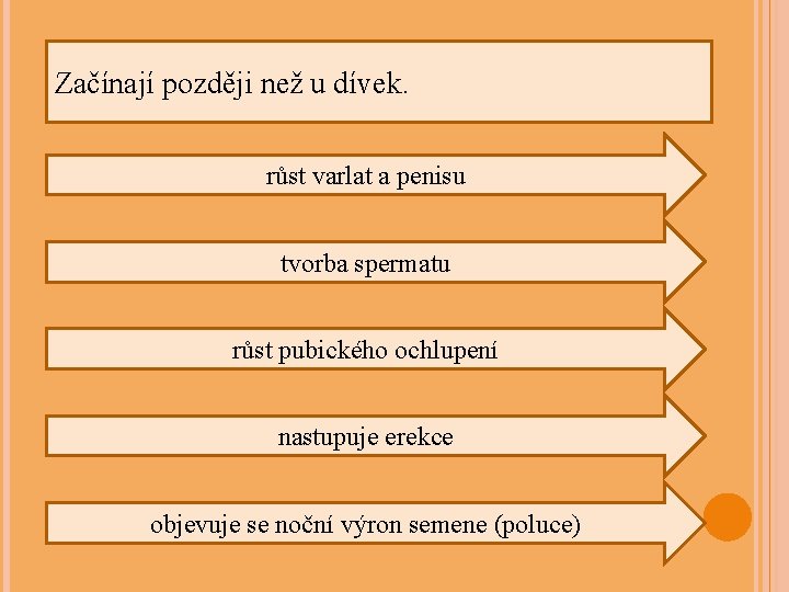 Začínají později než u dívek. růst varlat a penisu tvorba spermatu růst pubického ochlupení