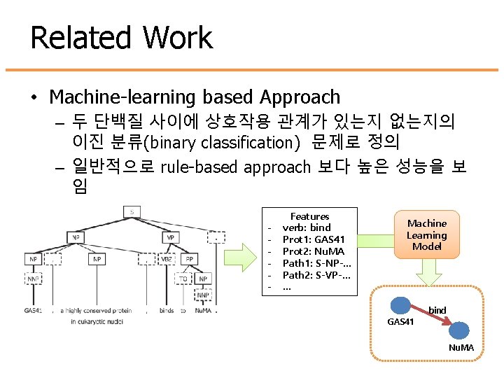 Related Work • Machine-learning based Approach – 두 단백질 사이에 상호작용 관계가 있는지 없는지의 Related Work • Machine-learning based Approach – 두 단백질 사이에 상호작용 관계가 있는지 없는지의