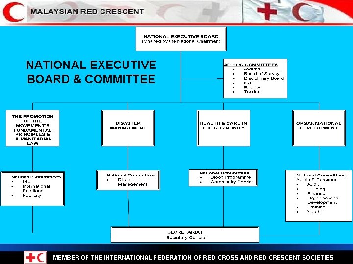 NATIONAL EXECUTIVE BOARD & COMMITTEE MEMBER OF THE INTERNATIONAL FEDERATION OF RED CROSS AND