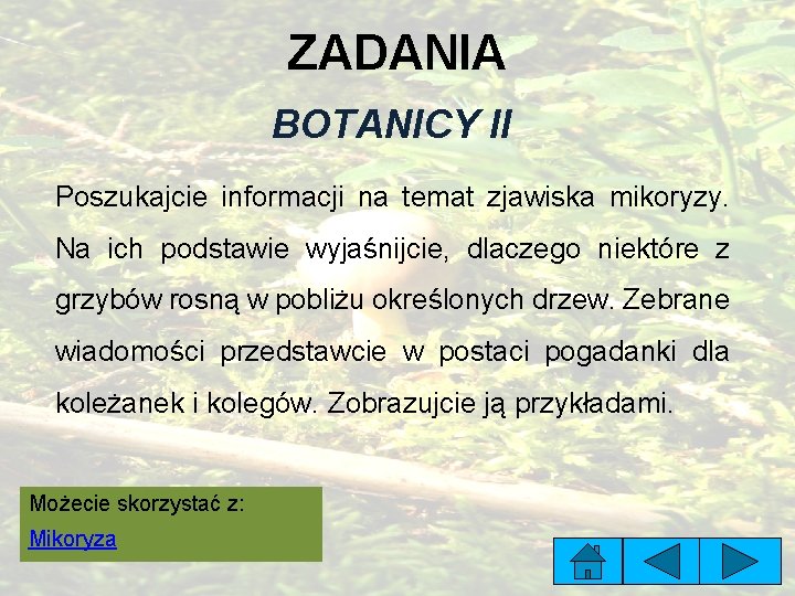 ZADANIA BOTANICY II Poszukajcie informacji na temat zjawiska mikoryzy. Na ich podstawie wyjaśnijcie, dlaczego