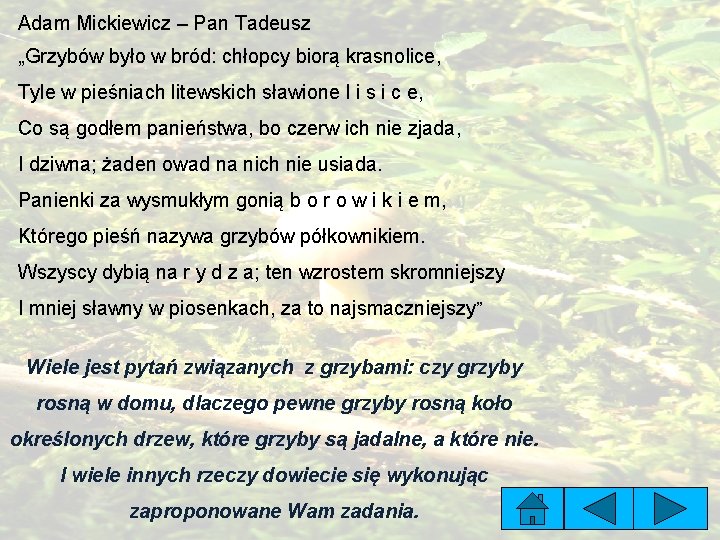Adam Mickiewicz – Pan Tadeusz „Grzybów było w bród: chłopcy biorą krasnolice, Tyle w