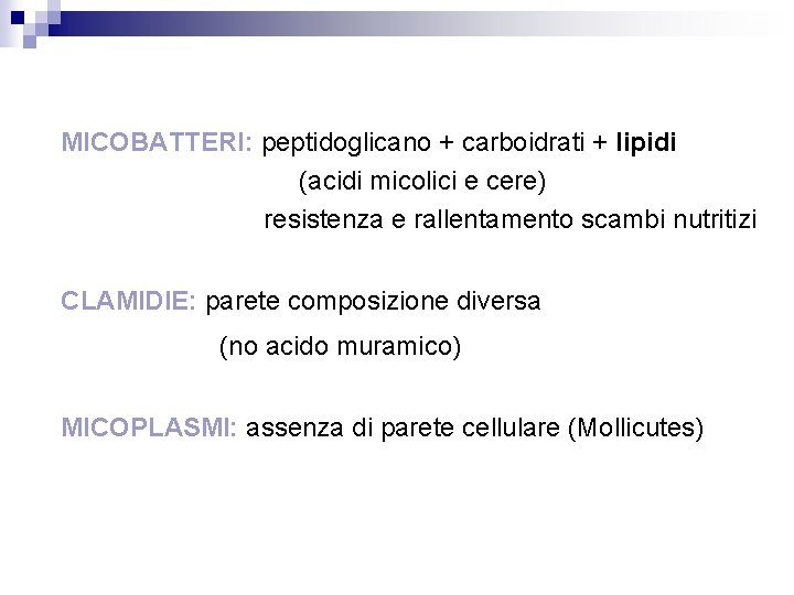 MICOBATTERI: peptidoglicano + carboidrati + lipidi (acidi micolici e cere) resistenza e rallentamento scambi