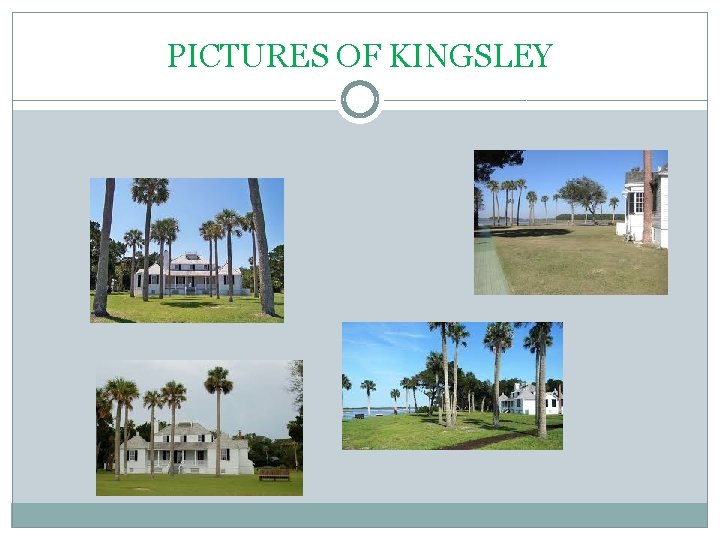 PICTURES OF KINGSLEY 