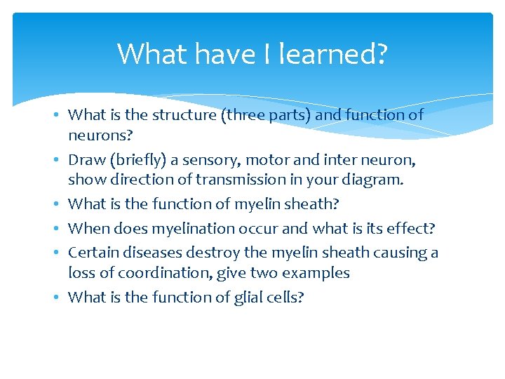 What have I learned? • What is the structure (three parts) and function of