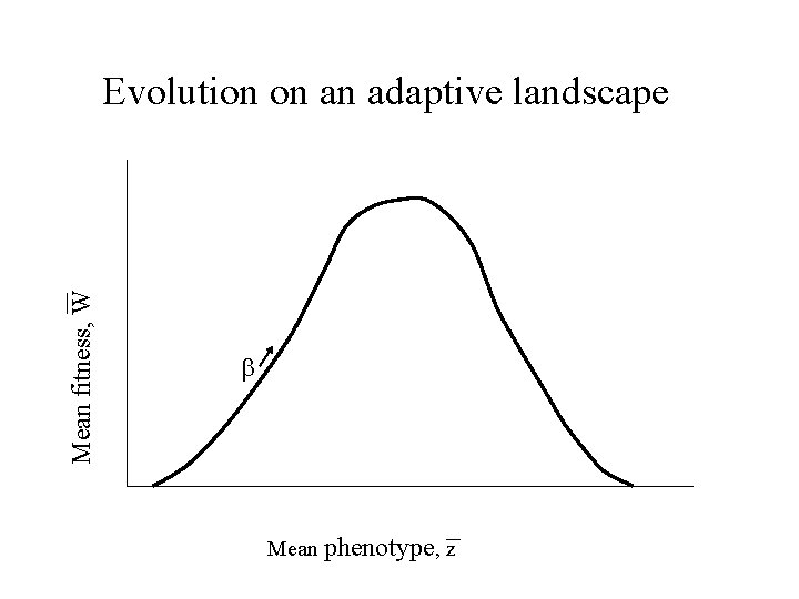 Mean fitness, W Evolution on an adaptive landscape b Mean phenotype, z 