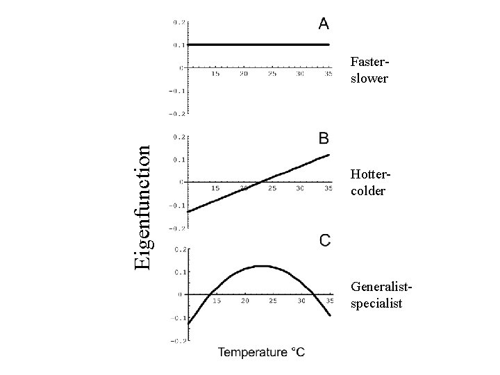 Eigenfunction Fasterslower Hottercolder Generalistspecialist 