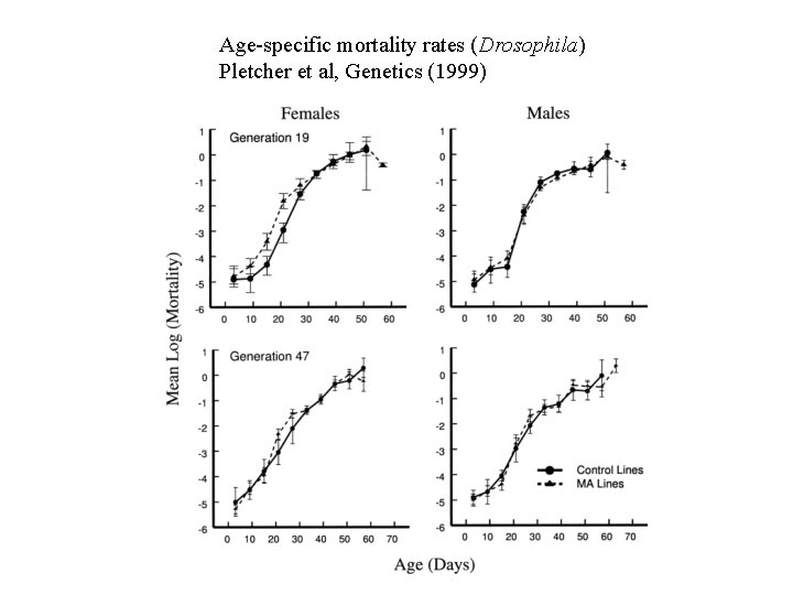 Age-specific mortality rates (Drosophila) Pletcher et al, Genetics (1999) 