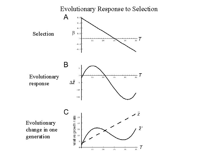 Evolutionary Response to Selection Evolutionary response Evolutionary change in one generation 