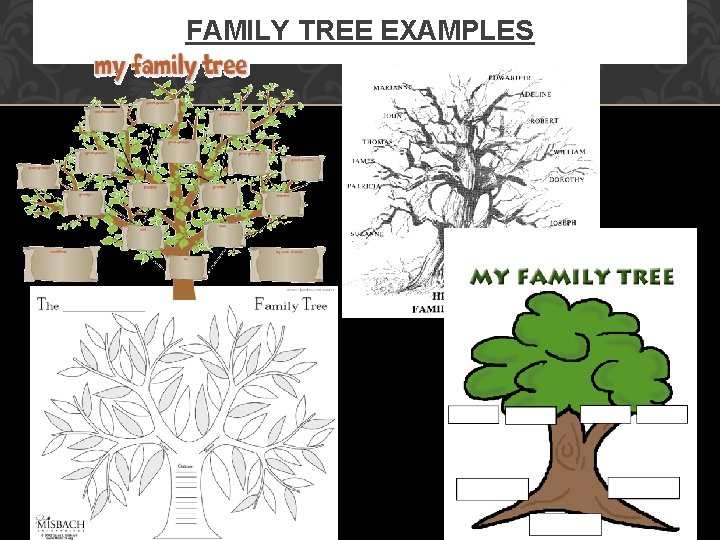 FAMILY TREE EXAMPLES 