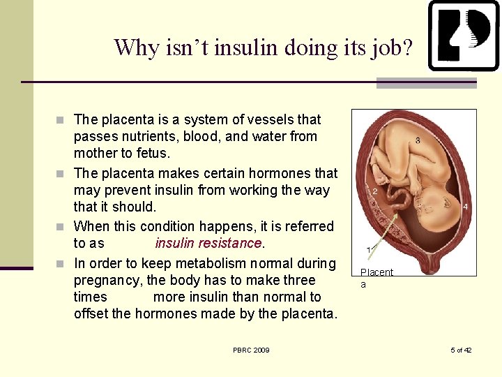 Why isn’t insulin doing its job? n The placenta is a system of vessels