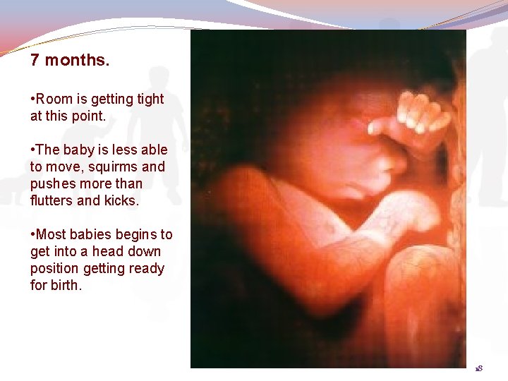 7 months. • Room is getting tight at this point. • The baby is