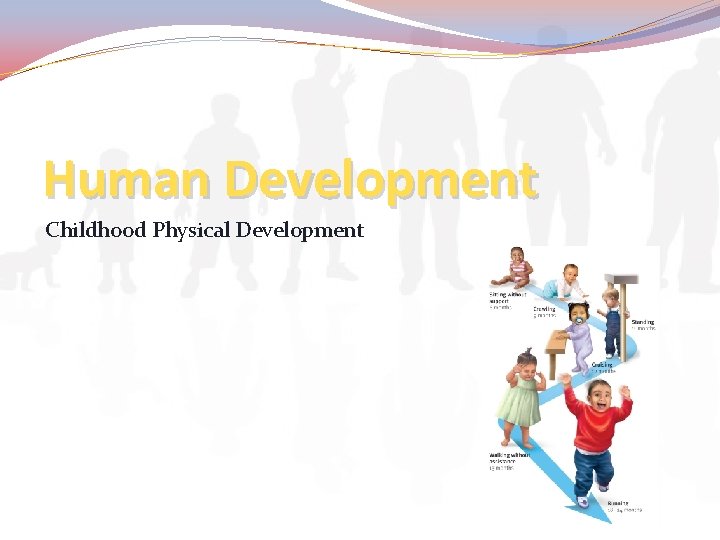 Human Development Childhood Physical Development 