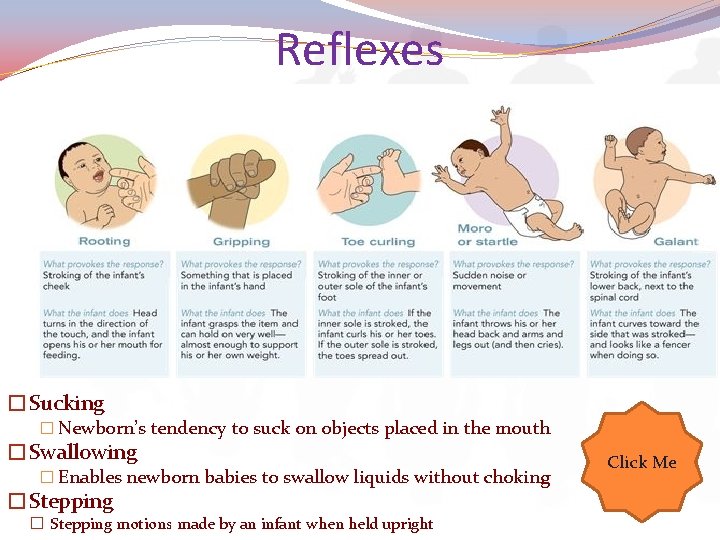 Reflexes �Sucking � Newborn’s tendency to suck on objects placed in the mouth �Swallowing