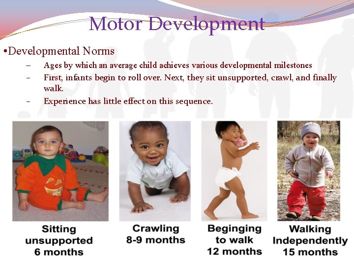 Motor Development • Developmental Norms – – – Ages by which an average child