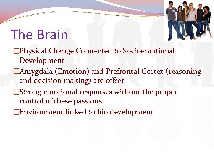 The Brain �Physical Change Connected to Socioemotional Development �Amygdala (Emotion) and Prefrontal Cortex (reasoning