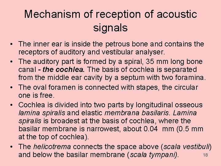 Mechanism of reception of acoustic signals • The inner ear is inside the petrous