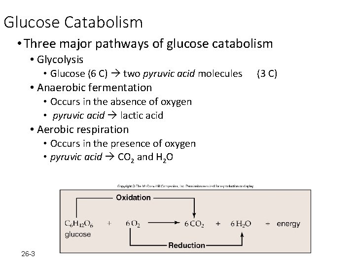 Glucose Catabolism • Three major pathways of glucose catabolism • Glycolysis • Glucose (6