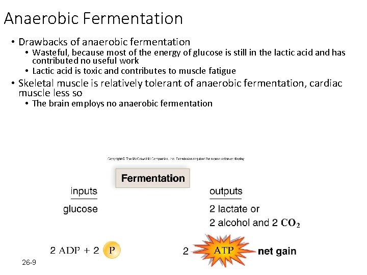 Anaerobic Fermentation • Drawbacks of anaerobic fermentation • Wasteful, because most of the energy