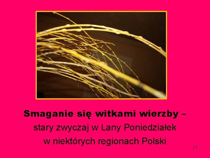 Smaganie się witkami wierzby – stary zwyczaj w Lany Poniedziałek w niektórych regionach Polski