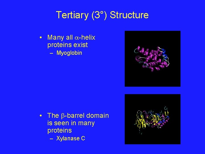 Tertiary (3°) Structure • Many all -helix proteins exist – Myoglobin • The -barrel