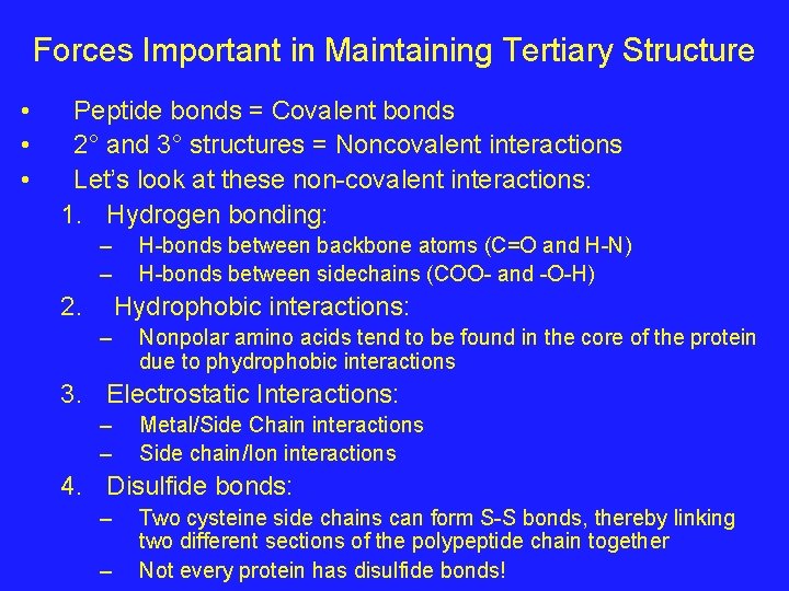 Forces Important in Maintaining Tertiary Structure • • • Peptide bonds = Covalent bonds