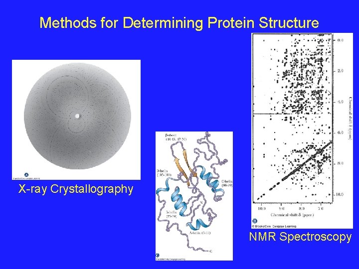 Methods for Determining Protein Structure X-ray Crystallography NMR Spectroscopy 