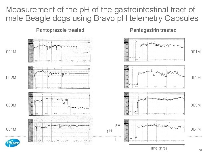 Measurement of the p. H of the gastrointestinal tract of male Beagle dogs using