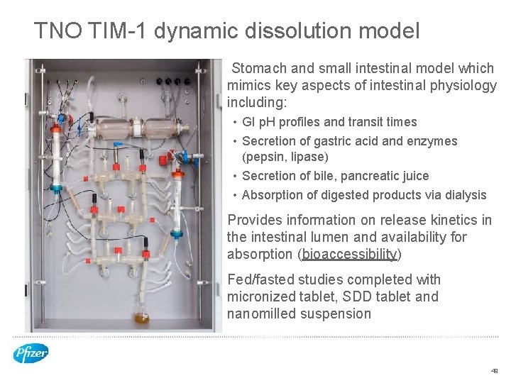 TNO TIM-1 dynamic dissolution model Stomach and small intestinal model which mimics key aspects