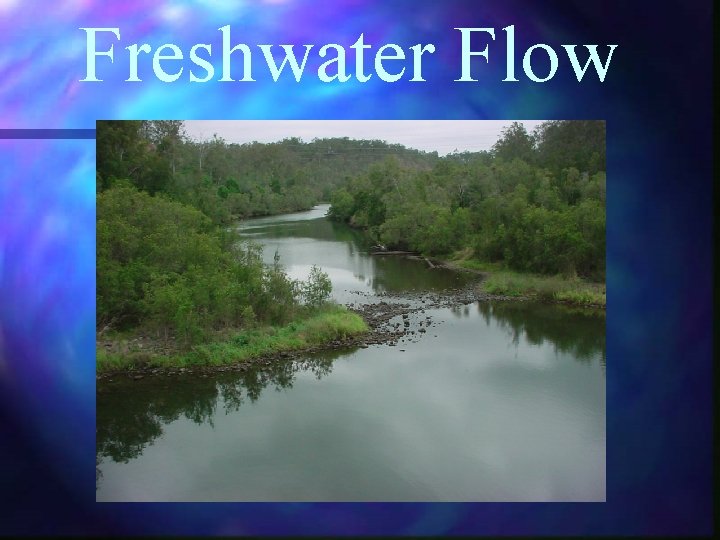 Freshwater Flow 