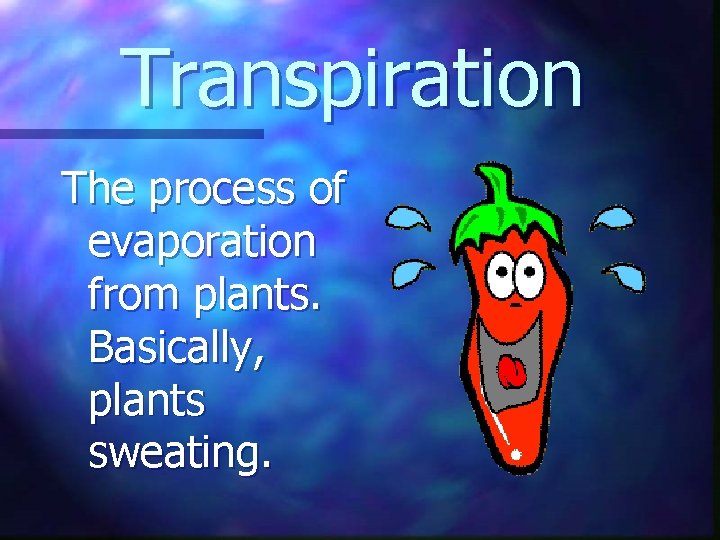 Transpiration The process of evaporation from plants. Basically, plants sweating. 